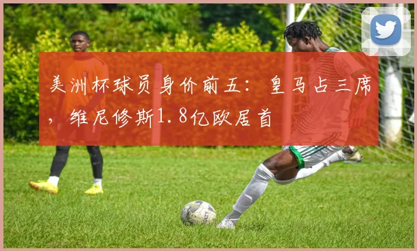 美洲杯球员身价前五：皇马占三席，维尼修斯1.8亿欧居首