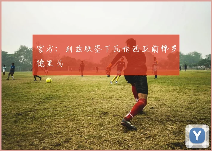 官方：利兹联签下瓦伦西亚前锋罗德里戈