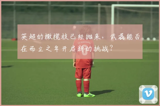 英超的橄榄枝已经抛来，武磊能否在而立之年开启新的挑战？