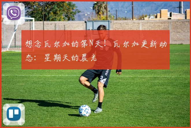 想念瓦尔加的第N天！瓦尔加更新动态：星期天的晨光
