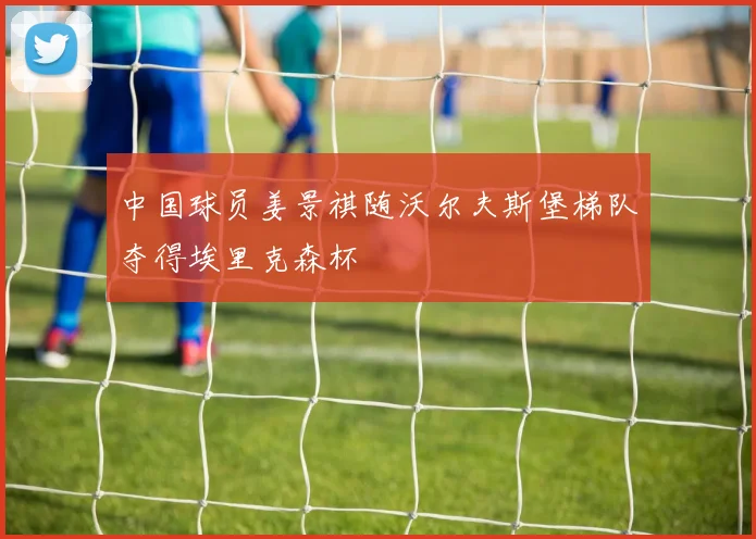 中国球员姜景祺随沃尔夫斯堡梯队夺得埃里克森杯